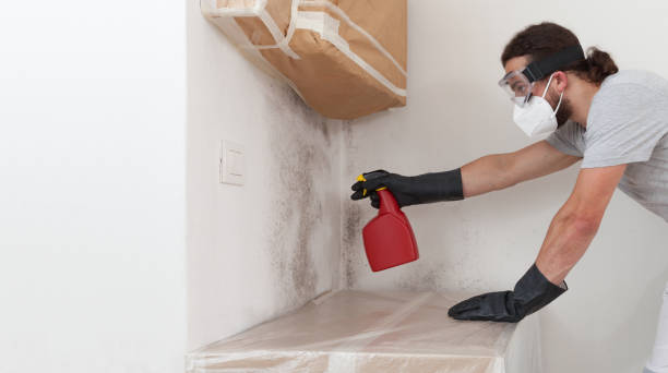 Professional Bathroom Mold Removal technician working in Hazlet, NJ