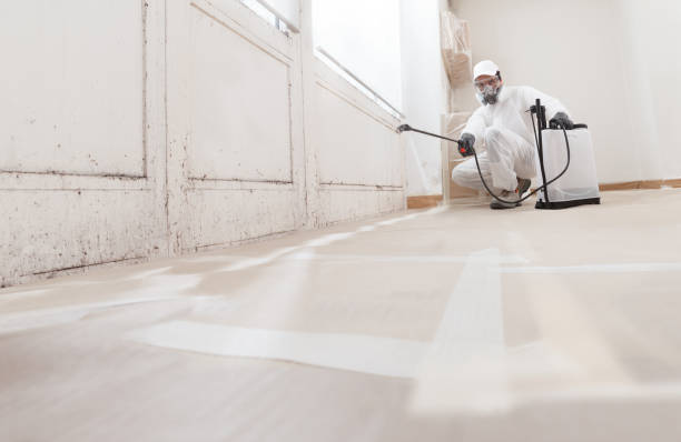 24/7 Emergency Bathroom Mold Removal experts in Hazlet, NJ